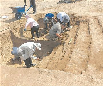 ȫ�������˲����dӋ����֧��100֧���F�